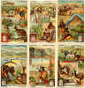 Australien Liebig Sammelbilder